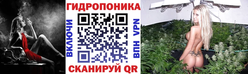 hydra как войти  Елабуга  Каннабис сатива 